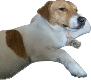 Стикер RockkkyBerrrta - 3