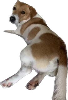 Стикер RockkkyBerrrta - 2