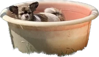 Стикер RockkkyBerrrta - 10