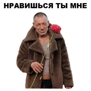 Стикер Лучшие 24 - 5