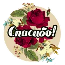 Стикер Roses - 0