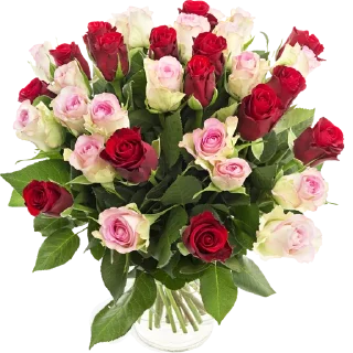 Sticker @al_mayameen14 - 2