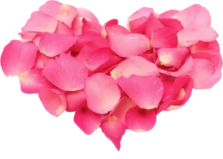 Sticker @al_mayameen14 - 10