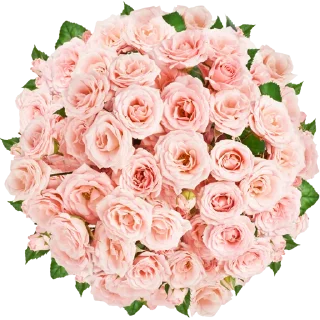 Sticker @al_mayameen14 - 4