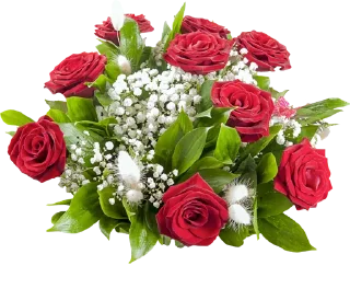 Sticker @al_mayameen14 - 5