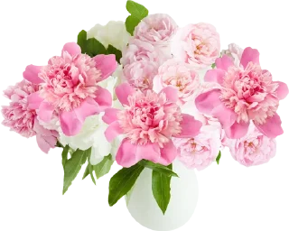 Sticker @al_mayameen14 - 6