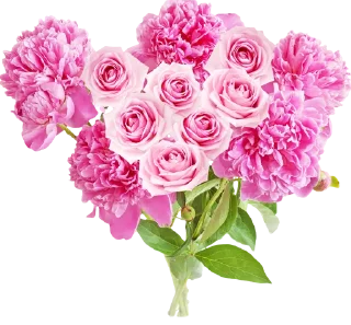 Sticker @al_mayameen14 - 8