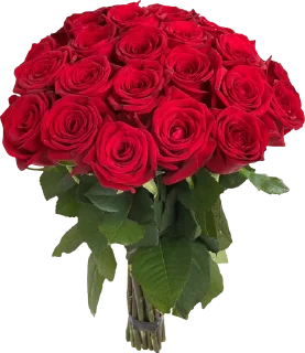 Sticker @al_mayameen14 - 0