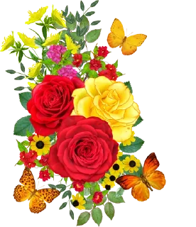 Sticker @al_mayameen14 - 7