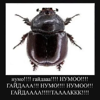 Стикер ukrtwi - 4