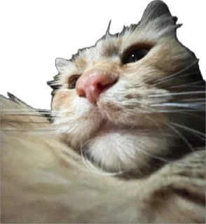 Стикер Величчя століття - 10