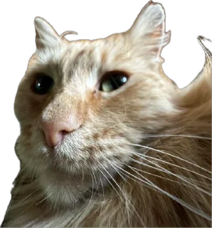 Стикер Величчя століття - 1