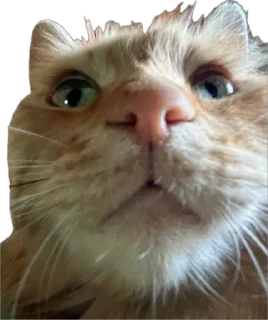 Стикер Величчя століття - 9