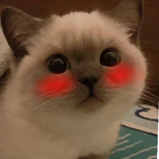 Sticker Россияне💗 - 11