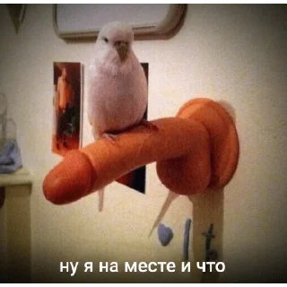 Стикер мои ШиКаРдОсИкИ🍒 - 0