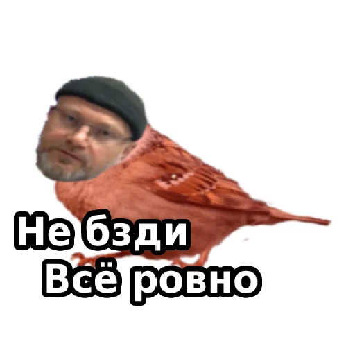 Стикер Ровный Саня - 10