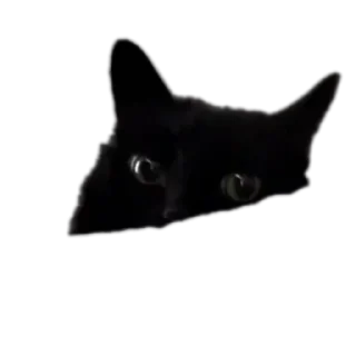 Стикер Пушистики - 0