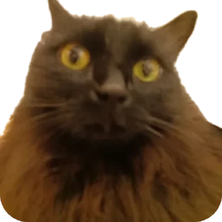 Стикер Пушистики - 10