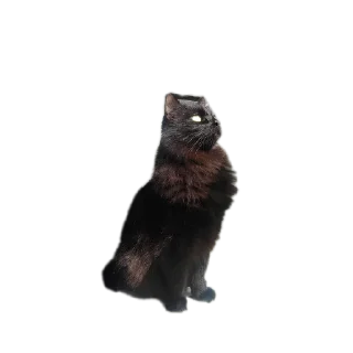 Стикер Пушистики - 5