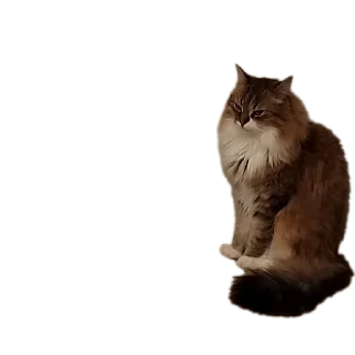 Стикер Пушистики - 1