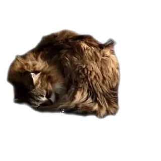 Стикер Пушистики - 6