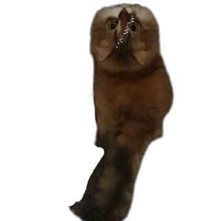 Стикер Пушистики - 8