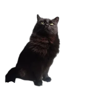 Стикер Пушистики - 4