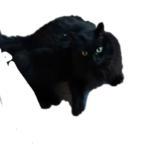 Стикер Пушистики - 2