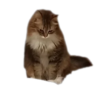 Стикер Пушистики - 11