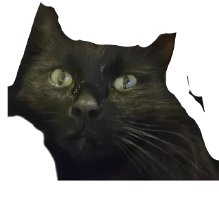 Стикер Пушистики - 3