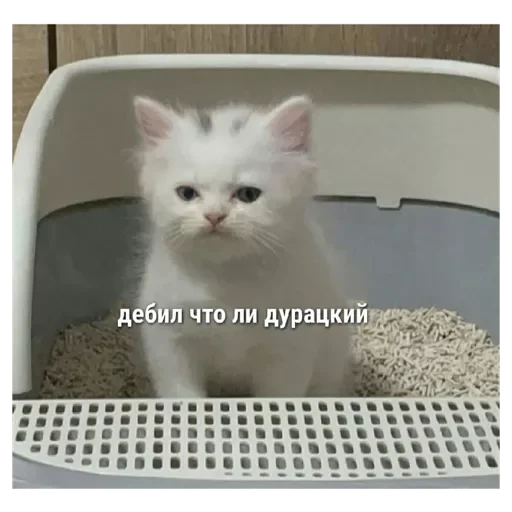 Стикер Rrotpero - 1