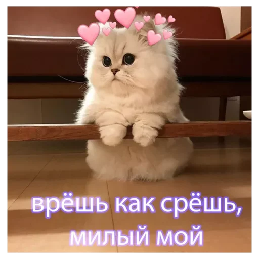 Sticker Rrotpero - 1