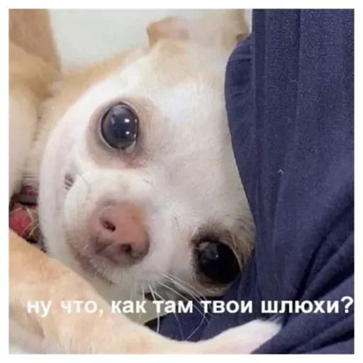 Sticker Rrotpero - 1