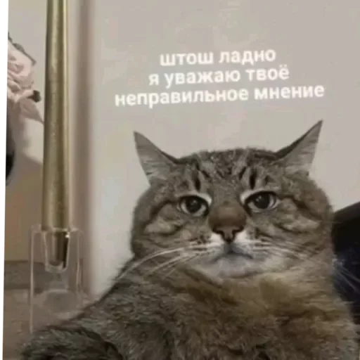 Sticker Rrotpero - 1