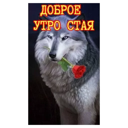 Sticker Rrotpero - 1