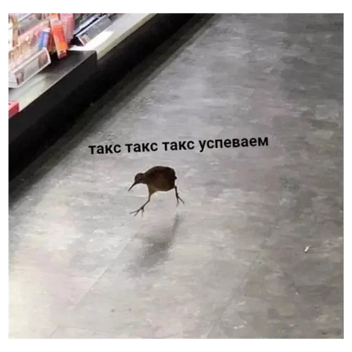 Sticker Rrotpero - 1