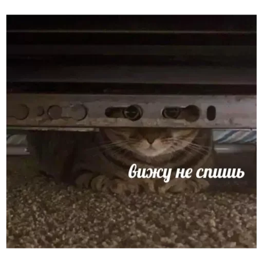 Sticker Rrotpero - 1