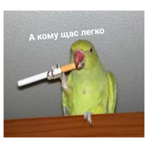 Стикер Rrotpero - 1