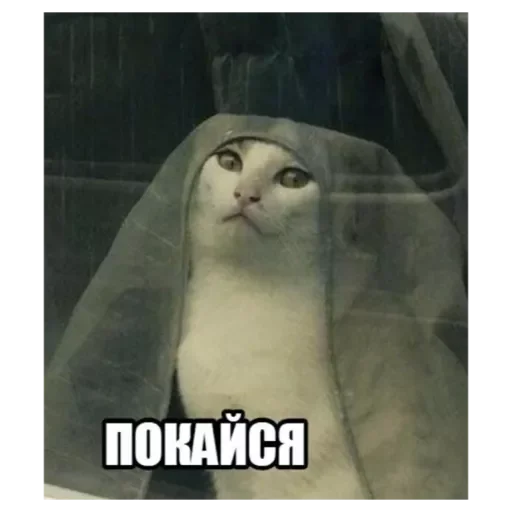 Sticker Rrotpero - 1