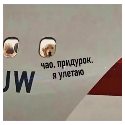 Sticker Rrotpero - 1