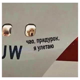 Sticker Рротперо - 1