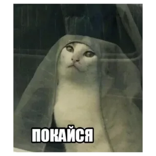 Sticker Рротперо - 4