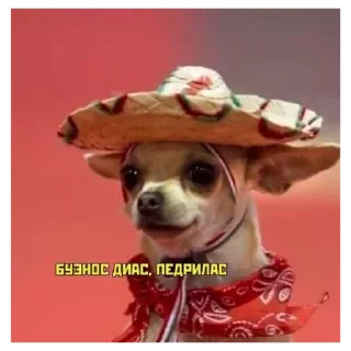 Sticker Рротперо - 6