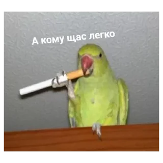 Sticker Рротперо - 8