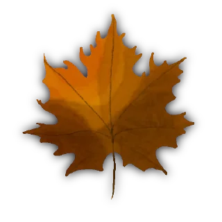 Стикер 🍂 - 10