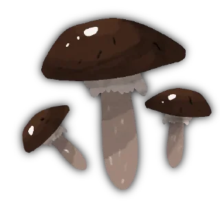 Стикер 🍂 - 5