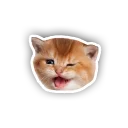 Sticker RuCat - 8