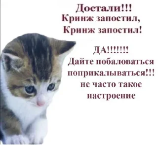 Sticker SCP чятик - 4