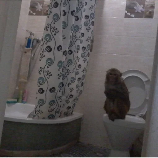 Стикер RuYLZup_by_achestickbot - 1