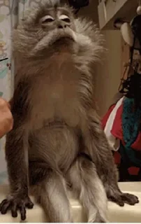 Стикер Больше стиков тут: @stikery4 - 3